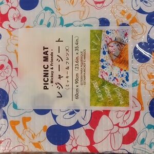 Disney Picnic Mat